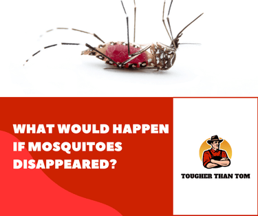 Mosquito extinction